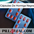 Cápsulas De Hormiga Negra 05